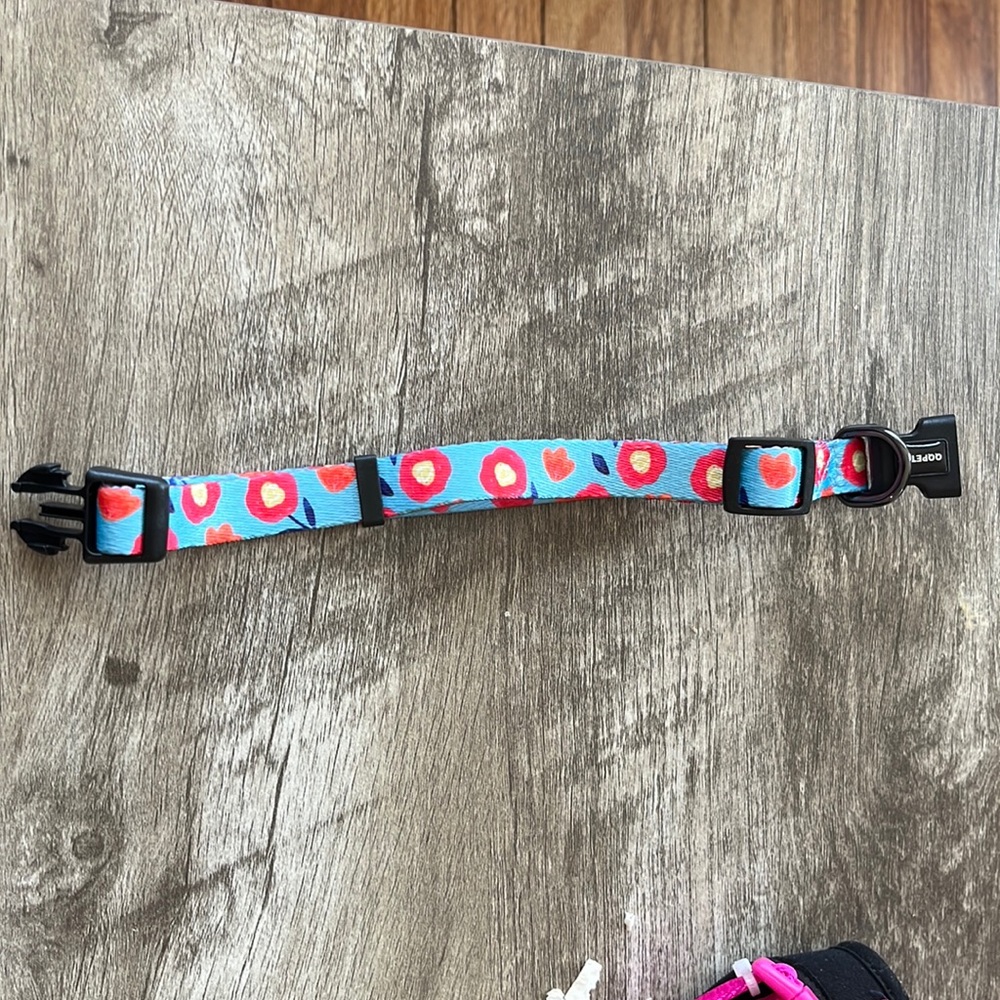 Small dog collar